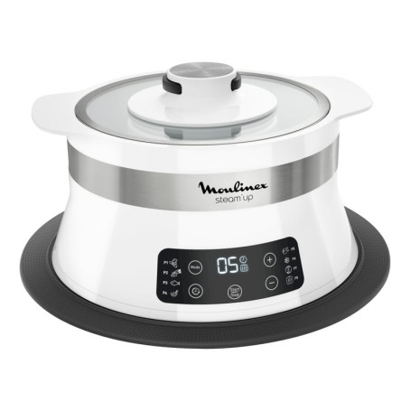 Cuit vapeur MOULINEX VJ504010