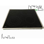 Plaque Electrique AEG PNC949591178