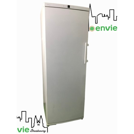 Congélateur Armoire LIEBHERR GN3356