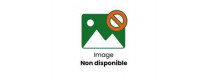 BUDDY